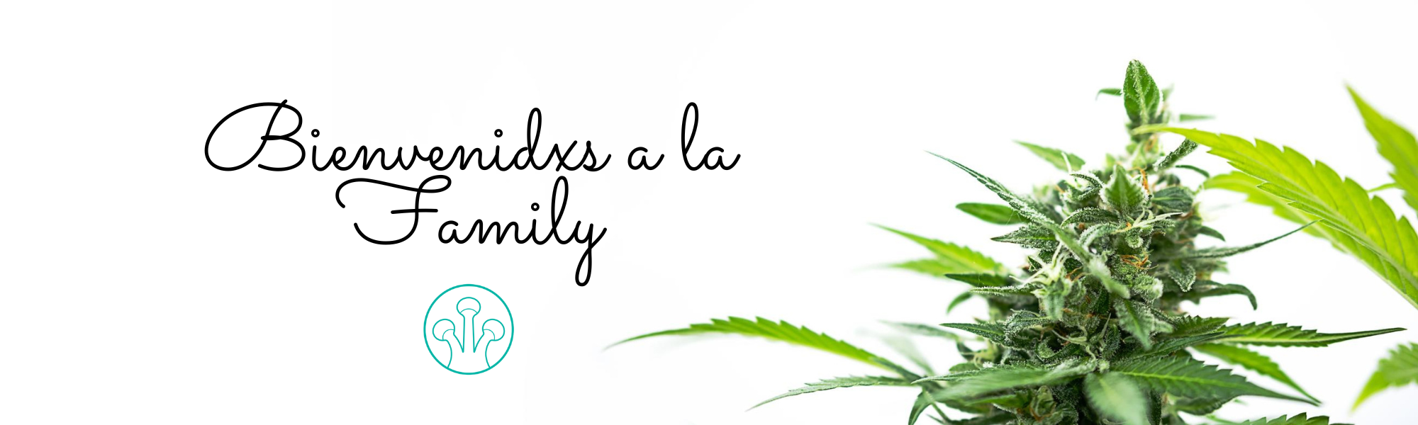 cbd online