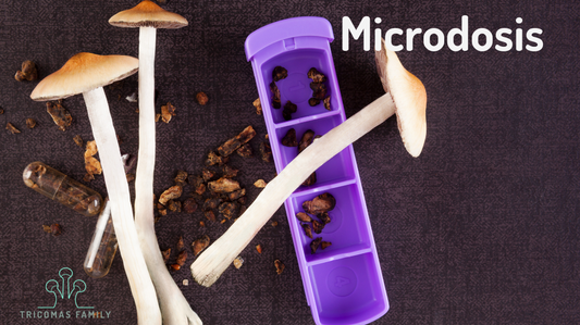Microdosis de Psilocibina: Bienestar Natural en Pequeñas Cantidades